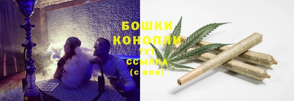 прущие крисы Киренск