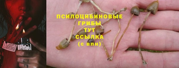прущие крисы Киренск