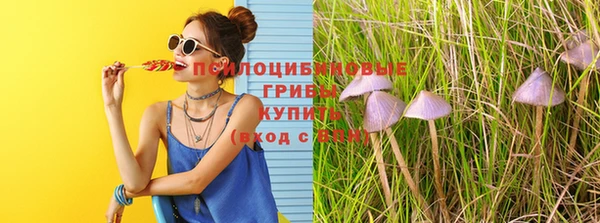 тгк Кинешма