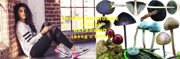 тгк Кинешма