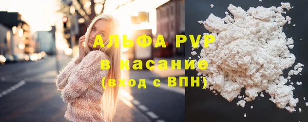прущие крисы Киренск