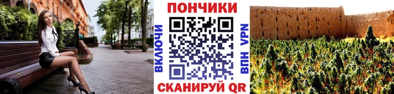 Купить закладки  Волхов  Канабис THC 21% 